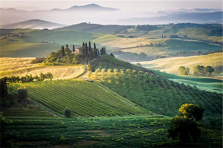 Val d'Orcia, Tuscany, Italy. A lonely farmhouse with cypress and olive trees, rolling hills. Stock Photo - Rights-Managed, Code: 862-08273442