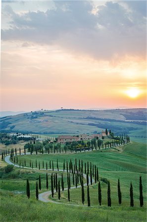 Crete Senesi, Tuscany, Italy. A lonely farmhouse with cypress and olive trees, rolling hills. Photographie de stock - Rights-Managed, Code: 862-08273463