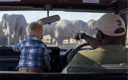 simsearch:862-03808729,k - Kenya, Amboseli National Park. A young tourist is enthralled by a herd of elephant. Stock Photo - Rights-Managed, Code: 862-08273533