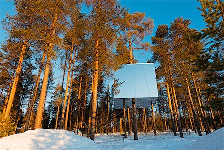 simsearch:841-03673765,k - Arctic Circle, Lapland, Scandinavia, Sweden, The Tree Hotel, the Mirror Cube room Stock Photo - Rights-Managed, Code: 862-08273830