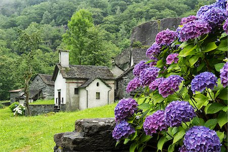 Europe, Switzerland, Ticino, Val Bavona a picturesque Village in Sabbione Stock Photo - Rights-Managed, Code: 862-08273876