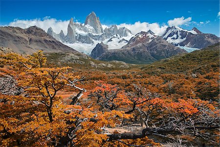 santa cruz - South America, Patagonia, Argentina, Santa Cruz, El Chalten, Fitz Roy at Los Glaciares National Park Stock Photo - Rights-Managed, Code: 862-08698657