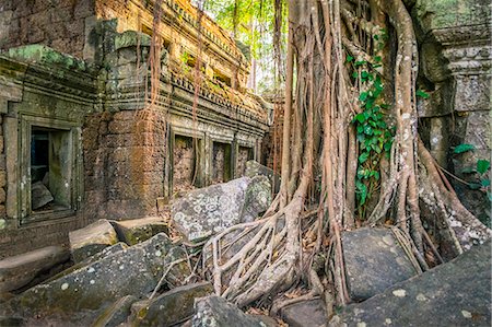 Tree roots at Ta Prohm temple ruins, Angkor, UNESCO World Heritage Site, Siem Reap Province, Cambodia Stock Photo - Rights-Managed, Code: 862-08698953