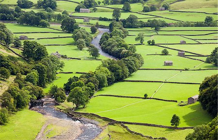 swaledale - England, Muker. An overhead view of the fields and barns of Swaledale in summer. Photographie de stock - Rights-Managed, Code: 862-08699134