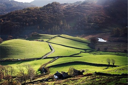 England, Cumbria, Langdale. Little Langdale in the autumn. Stock Photo - Rights-Managed, Code: 862-08699183