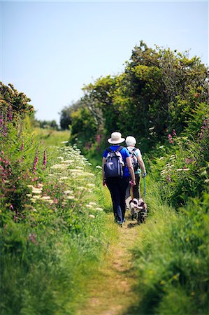 simsearch:862-03710966,k - England, Cornwall, Isles of Scilly. Two people walking dogs on St Marys island. Photographie de stock - Rights-Managed, Code: 862-08699197