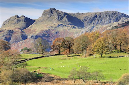 simsearch:862-08699205,k - England, Cumbria, Ambleside. People walking through fields towards the Langdale Pikes. Photographie de stock - Rights-Managed, Code: 862-08699207