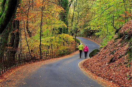 simsearch:862-08699205,k - England, Cumbria, Ambleside. A couple walking along a lane in the autumn. Photographie de stock - Rights-Managed, Code: 862-08699203