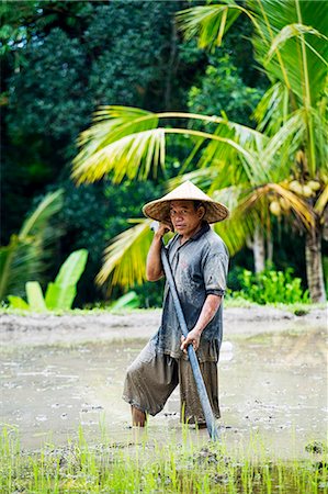 Asia, Indonesia, Bali, Ubdu, Tegalalang Rice Terraces, a Balinese gentleman outstanding in his field Stock Photo - Rights-Managed, Code: 862-08699336