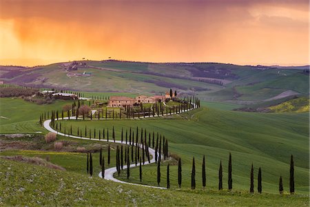 sienne - Valdorcia, Siena, Tuscany, Italy. Road of cypresses leading to a farmhouse with a stormy sunset in the background. Photographie de stock - Rights-Managed, Code: 862-08699441