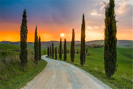 siena - Valdorcia, Siena, Tuscany, Italy. Road of cypresses leading to a farmhouse with a stormy sunset in the background. Stock Photo - Rights-Managed, Code: 862-08699442