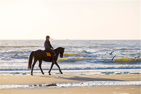 simsearch:862-08699662,k - Netherlands, North Holland, Julianadorp. Man riding a horse on the beach along the ocean. Stock Photo - Rights-Managed, Code: 862-08699653