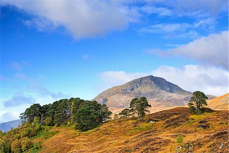 simsearch:862-08699888,k - Scotland, Glen Affric. Hills and Scots Pine Trees in the autumn. Fotografie stock - Rights-Managed, Codice: 862-08699871