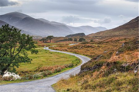 simsearch:862-08699899,k - Scotland, Glen Cannich. The winding road through the Glen. Foto de stock - Con derechos protegidos, Código: 862-08699889