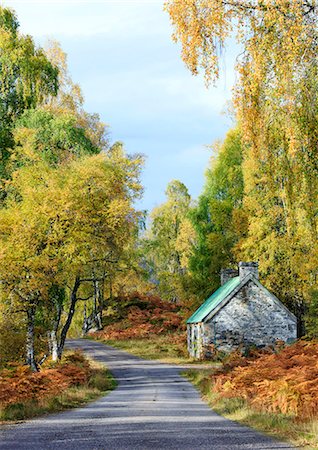 simsearch:862-08699888,k - Scotland, Glen Strathfarrar. The road and a small bothy surrounded by autumn trees. Fotografie stock - Rights-Managed, Codice: 862-08699902