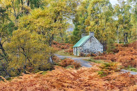 simsearch:862-08699888,k - Scotland, Glen Strathfarrar. A small bothy surrounded by autumn vegetation. Fotografie stock - Rights-Managed, Codice: 862-08699903