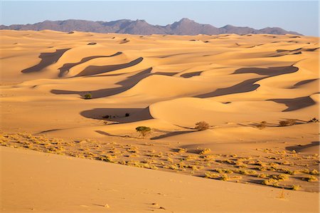 deriva - Niger, Agadez, Sahara Desert, Tenere. Sand dunes in the Tenere desert. Foto de stock - Con derechos protegidos, Código: 862-08704980
