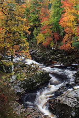 Scotland, Moray, Forres. The River Findhorn flowing past autumn trees and the gorge known as Randolphs Leap. Stock Photo - Rights-Managed, Code: 862-08700039