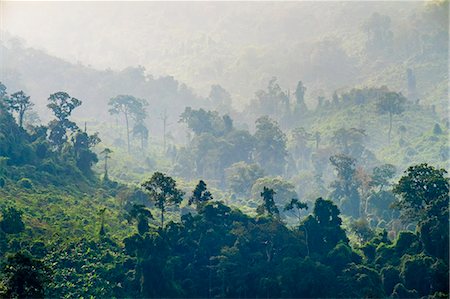 simsearch:862-08699699,k - Jungle landscape along Ho Chi Minh Highway West, Phuoc Son District, Quang Nam Province, Vietnam Fotografie stock - Rights-Managed, Codice: 862-08700152