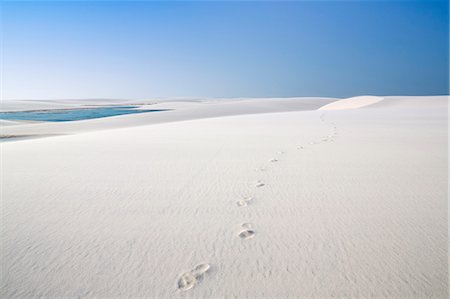 simsearch:862-06540920,k - Brazil, Maranhao, Lencois Maranhenses national park, footprints in the dunes in the Rio Negro region near Atins Foto de stock - Con derechos protegidos, Código: 862-08718473