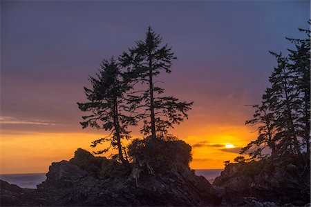 Canada, British Columbia, Vancouver Island,Port Renfrew, Juan deFuca Provincal Park, Botanical Beach Park Stock Photo - Rights-Managed, Code: 862-08718495