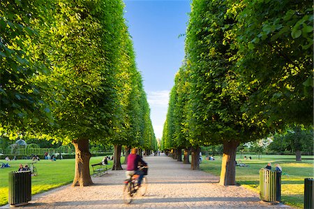 simsearch:862-08090092,k - Denmark, Hillerod, Copenhagen. A tree-lined avenue in Kongens Have (The King's Garden) in the grounds of Rosenborg Castle, the oldest and most visited park in central Copenhagen. Foto de stock - Con derechos protegidos, Código: 862-08718556