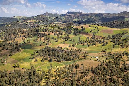 etiopia - Ethiopia, Oromia Region, Bale Mountains. Farms in the once well-forested slopes of the Bale Mountains. Foto de stock - Con derechos protegidos, Código: 862-08718753