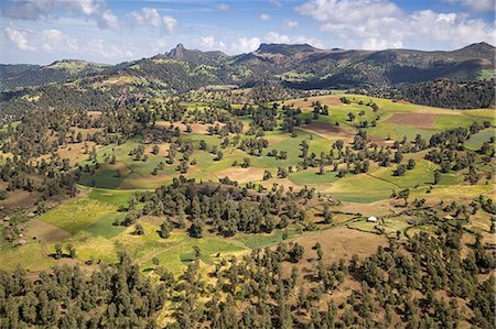 ethiopie - Ethiopia, Oromia Region, Bale Mountains. Farms in the once well-forested slopes of the Bale Mountains. Stock Photo - Rights-Managed, Code: 862-08718753