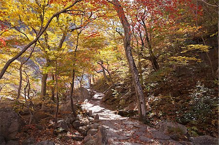 dictator - North Korea, Kumgang. Kumgang Mountains in autumn. Stock Photo - Rights-Managed, Code: 862-08719304