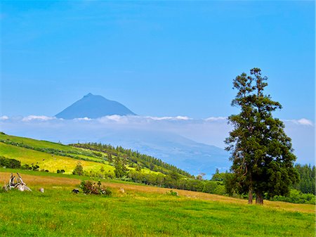 Portugal, Azores, Faial, Landscape of central part of Faial Island with Mount Pico in the background. Stockbilder - Lizenzpflichtiges, Bildnummer: 862-08719357