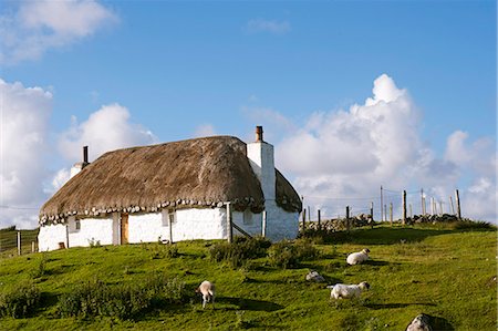 scotland not people - UK, Scotland, Outer Hebrides, North Uist.  A traditional thatched whitehouse on the south east coast of North Uist. Foto de stock - Con derechos protegidos, Código: 862-08719426