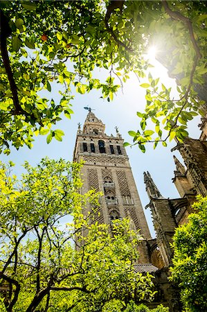 Giralda Bell-tower and Almohade section of historic Cathedral of Sevilla, Andalucia, Spain Stock Photo - Rights-Managed, Code: 862-08719568