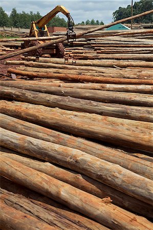 Logs, Kampala, Uganda, Africa Stock Photo - Rights-Managed, Code: 862-08719923