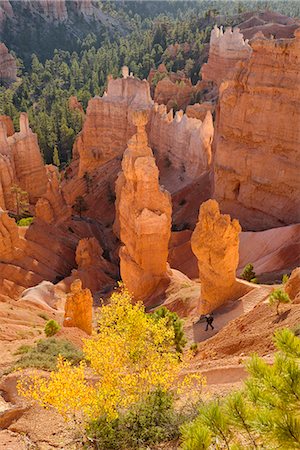 simsearch:862-08274080,k - USA, Southwest, Colorado Plateau, Utah, Bryce Canyon, National Park, UNESCO World Heritage Stockbilder - Lizenzpflichtiges, Bildnummer: 862-08719969