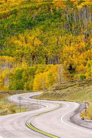 USA, Southwest,Colorado Plateau, Utah,Boulder, Dixie National forest in autumn near Torrey along highway 12 Stock Photo - Rights-Managed, Code: 862-08719977