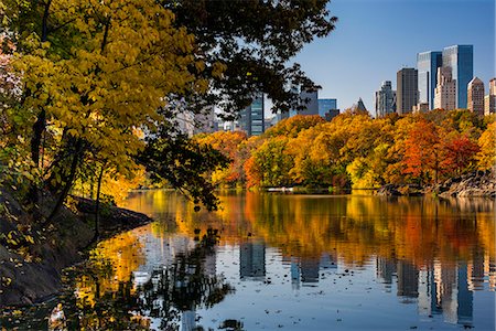 simsearch:862-08091562,k - Fall foliage at Central Park, Manhattan, New York, USA Stockbilder - Lizenzpflichtiges, Bildnummer: 862-08719998