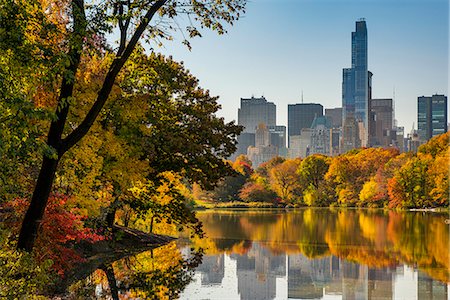 Fall foliage at Central Park, Manhattan, New York, USA Foto de stock - Con derechos protegidos, Código: 862-08719999