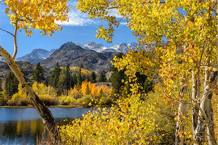 USA, California, Eastern Sierra, Bishop, Bishop creek in fall Foto de stock - Con derechos protegidos, Código: 862-08720049