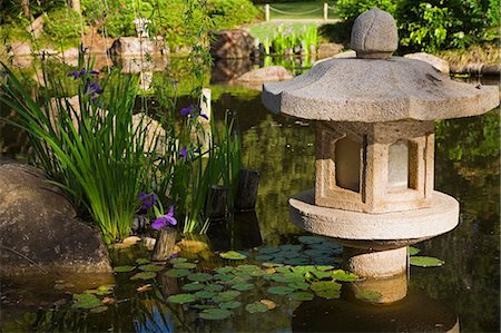 Japanese gardens in the Brisbane Botanic Gardens. Stock Photo - Rights-Managed, Code: 862-03288657