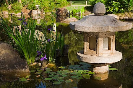 Japanese gardens in the Brisbane Botanic Gardens. Foto de stock - Con derechos protegidos, Código: 862-03288657