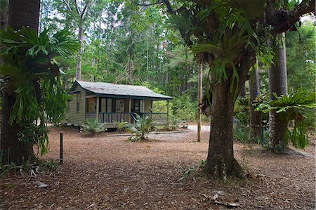 simsearch:862-03288708,k - Le vieux camp de bûcherons de la gare centrale en forêt pluviale intérieure de l'île de Fraser. Une fois un centre d'exploitation forestière, l'île est maintenant de la liste du patrimoine mondial et un parc national. Photographie de stock - Rights-Managed, Code: 862-03288685