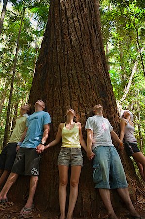 simsearch:862-03288729,k - Visitors ring a giant Satinay tree. The Satinays of Fraser Island were once highly prized timber and were used as pylons in the construction of the Suez canal. Foto de stock - Con derechos protegidos, Código: 862-03288688