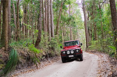 A four wheel drive vehicle makes its way over the sandy roads of Fraser Island's interior. Stock Photo - Rights-Managed, Code: 862-03288725