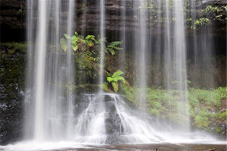 Russell Falls in Mount Field National Park,Tasmania Stock Photo - Rights-Managed, Code: 862-03288910