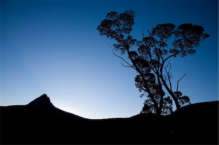 simsearch:862-03289180,k - Barn Bluff à partir de Waterfall Valley sur la piste Overland Track Photographie de stock - Rights-Managed, Code: 862-03289006