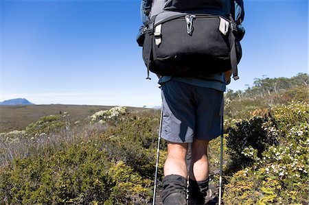 Hiking the Overland Track,Tasmania Foto de stock - Con derechos protegidos, Código: 862-03289008