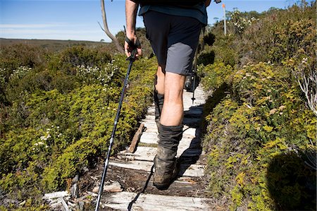 Hiking the Overland Track,Tasmania Foto de stock - Con derechos protegidos, Código: 862-03289009