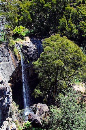 simsearch:862-03437452,k - Australia,Tasmania. Waterfall in Gunns Plains. Foto de stock - Con derechos protegidos, Código: 862-03289061