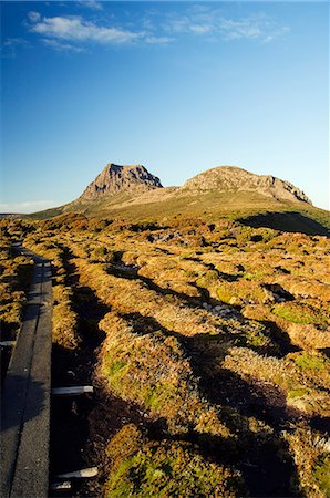 simsearch:862-03289075,k - Australie, Tasmanie. Pics de Cradle Mountain (1545m) et la brousse frotter sur l'Overland Track en ""Cradle Mountain-Lake St Clair Parc National"" - partie Tasmanian Wilderness Site du patrimoine mondial. Photographie de stock - Rights-Managed, Code: 862-03289070