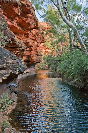 simsearch:862-03289177,k - Australia,Northern Territory. A permanent rainwater pool at Kings Canyon. Stock Photo - Rights-Managed, Code: 862-03289166